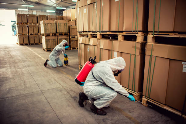 Best Termite Control Services  in Ottawa, OH
