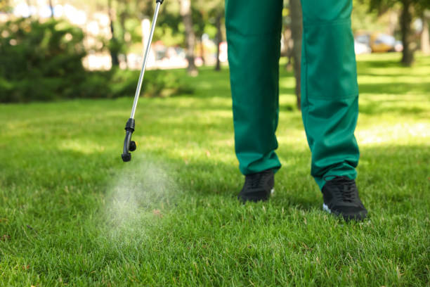 Best Wasp Removal Services  in Ottawa, OH