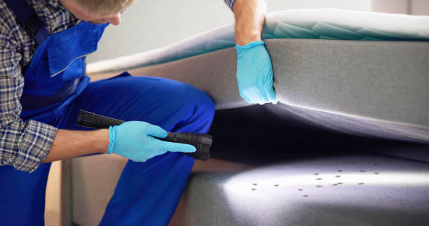 Best Ant Control Services  in Ottawa, OH