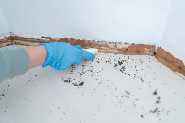 Best Commercial Pest Control Services  in Ottawa, OH