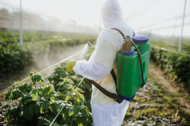  Ottawa, OH Pest Control Pros
